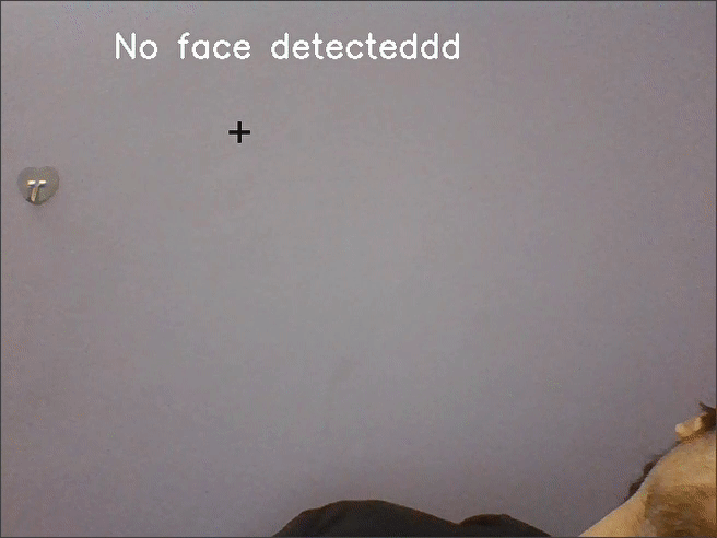 Mask Detector